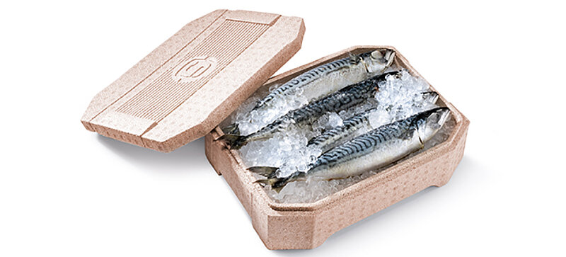 Une boîte isolante en bioplastique marron contenant du poisson frais et de la glace