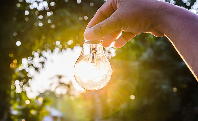 Une main tient une ampoule dans la nature, éclairée par le soleil