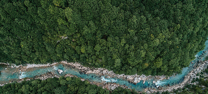 Une rivière traverse une zone forestière