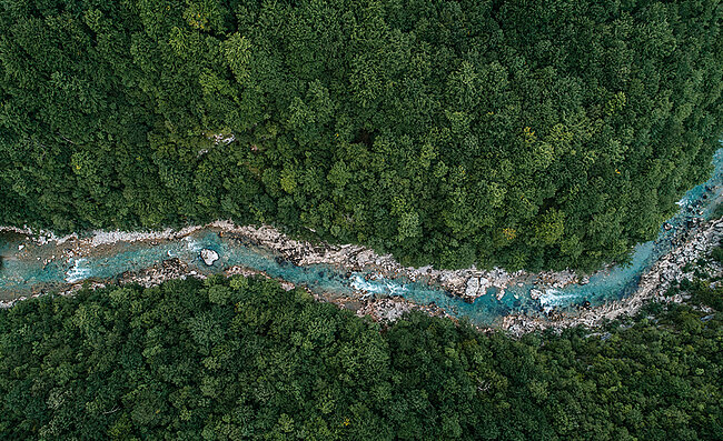 Une rivière traverse une zone forestière